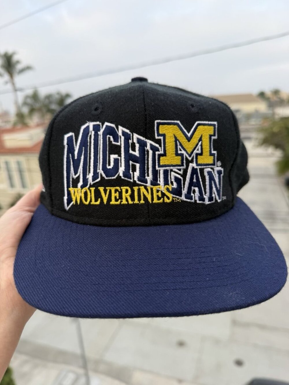 Vintage 90s Apex One Michigan Wolverines streetwear snapback embroidered cap